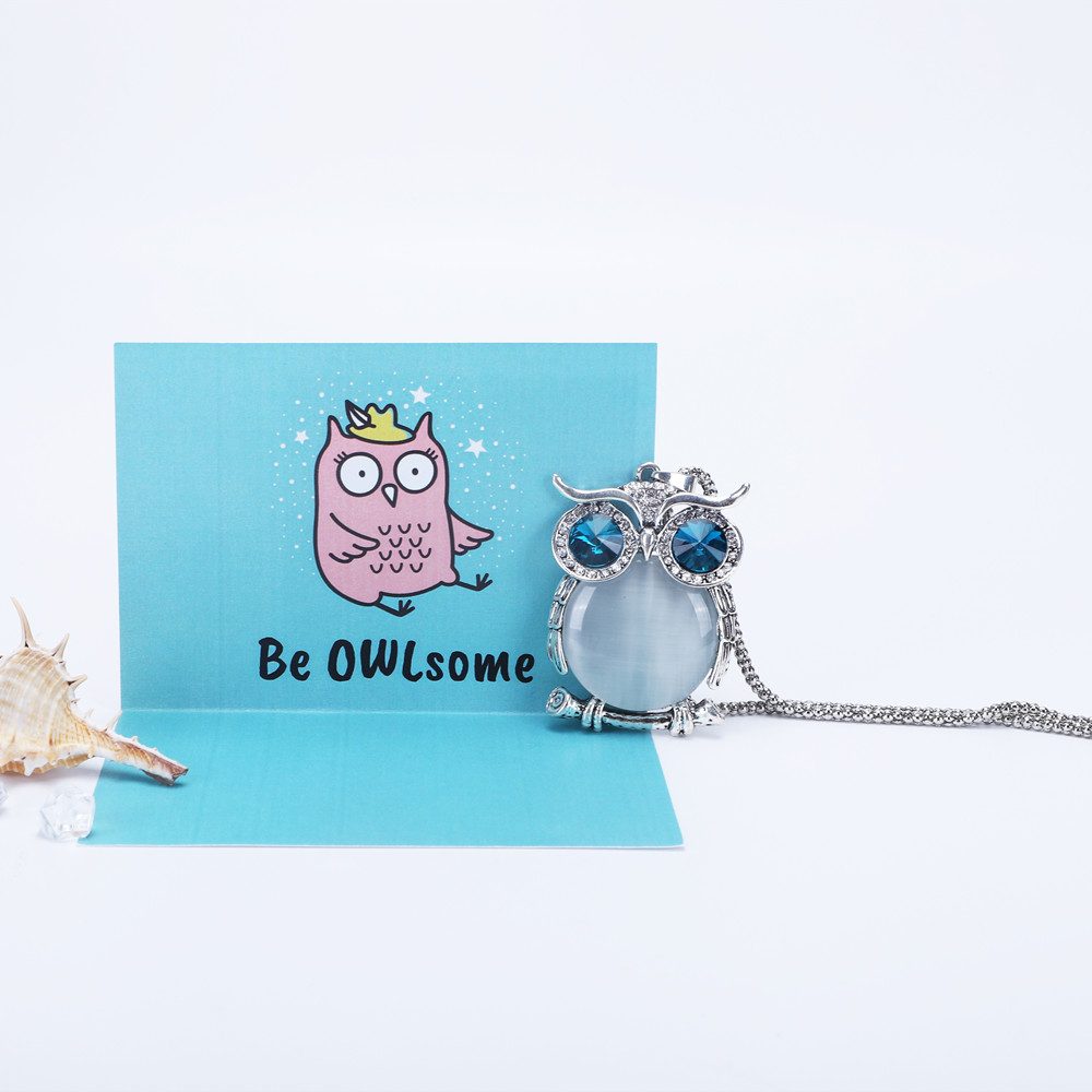 The image displays the "DON'T FORGET TO BE OWLSOME" necklace alongside a greeting card featuring a drawn owl and the text "by OWLsome". The necklace is made of titanium steel, with a pendant measuring 6.5cm by 4cm, attached to an 80cm chain. The package includes a necklace, greeting card, gift box, and a gift bag, making it a thoughtful and complete gift set.