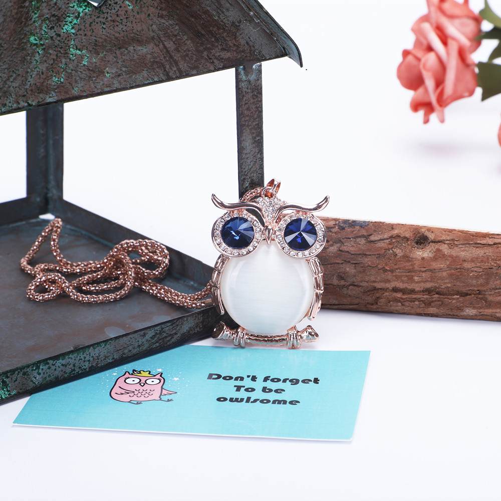 The image displays the "DON'T FORGET TO BE OWLSOME" necklace alongside a greeting card featuring a drawn owl and the text "Don`t forget To be owlsome". The necklace is made of titanium steel, with a pendant measuring 6.5cm by 4cm, attached to an 80cm chain. The package includes a necklace, greeting card, gift box, and a gift bag, making it a thoughtful and complete gift set.