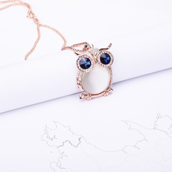 The image features the "DON'T FORGET TO BE OWLSOME" necklace, crafted in a rose gold-tone color. The necklace comes with a pendant measuring 6.5cm by 4cm, suspended from an 80cm chain. It is made of titanium steel and is accompanied by a greeting card, gift box, and a gift bag, making it a complete and stylish package.