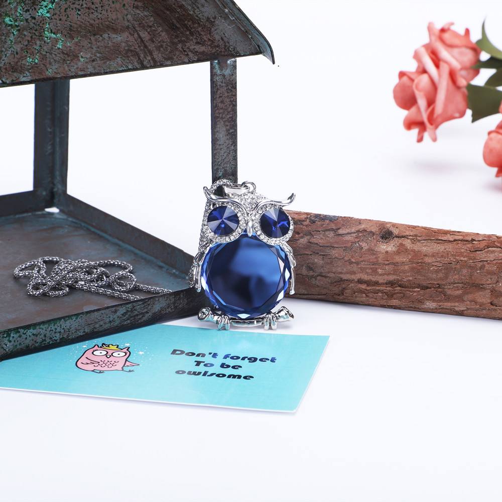 The image displays the "DON'T FORGET TO BE OWLSOME" necklace, crafted from titanium steel and weighing 49g. The necklace features a pendant measuring 6.5cm by 4cm suspended from an 80cm chain. Included in the package are a greeting card, gift box, and a gift bag, ensuring a complete and stylish presentation.