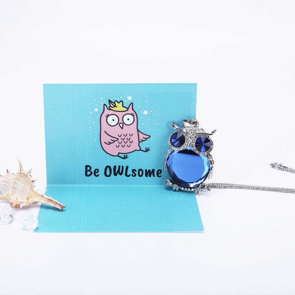 The image displays the "DON'T FORGET TO BE OWLSOME" necklace, crafted from titanium steel and weighing 49g. The necklace features a pendant measuring 6.5cm by 4cm suspended from an 80cm chain. Included in the package are a greeting card, gift box, and a gift bag, ensuring a complete and stylish presentation.